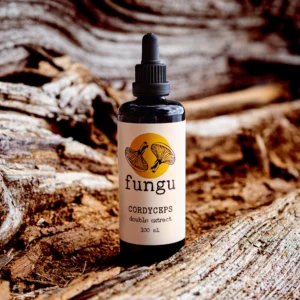cordyceps extract