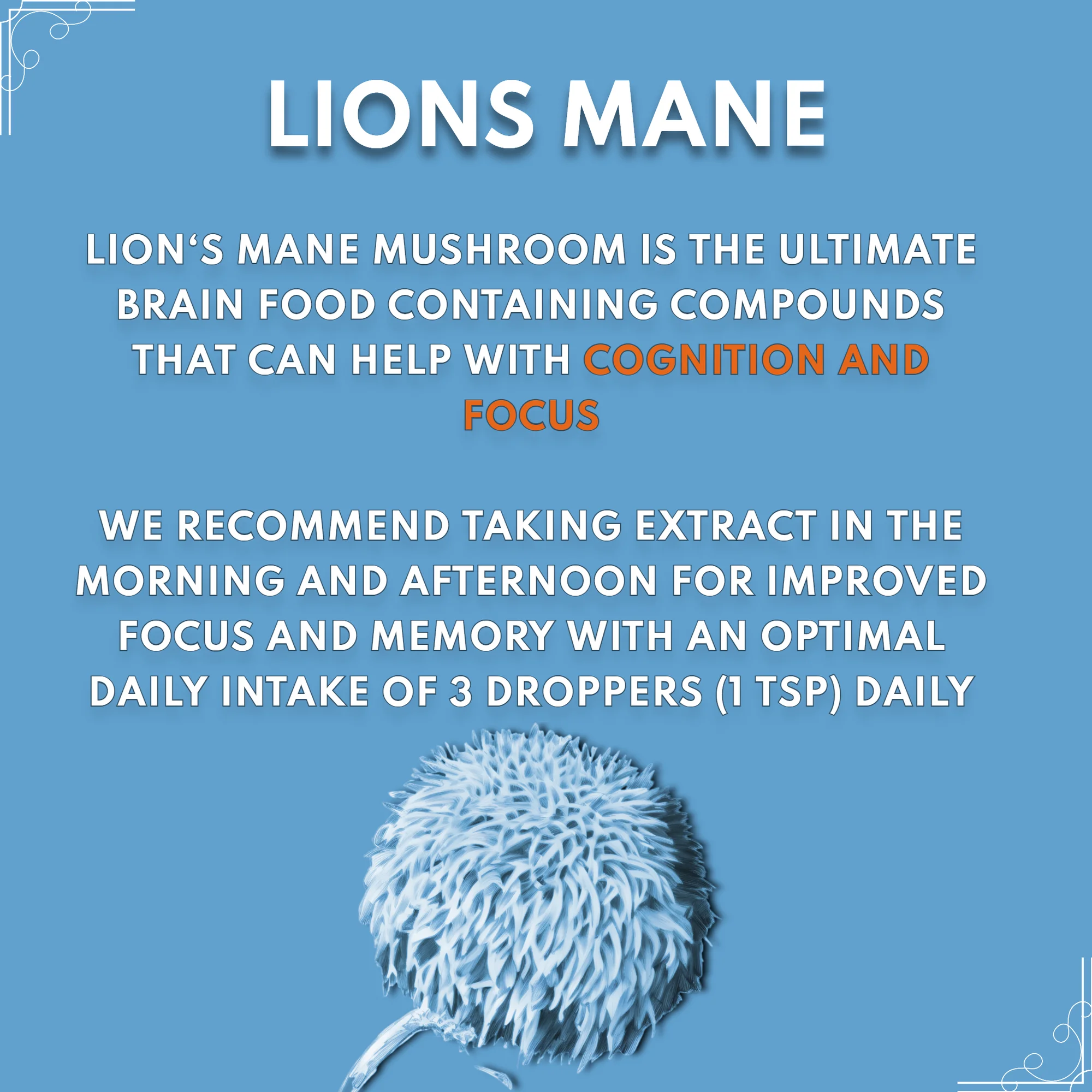 lion‘s mane extract lion‘s mane extract