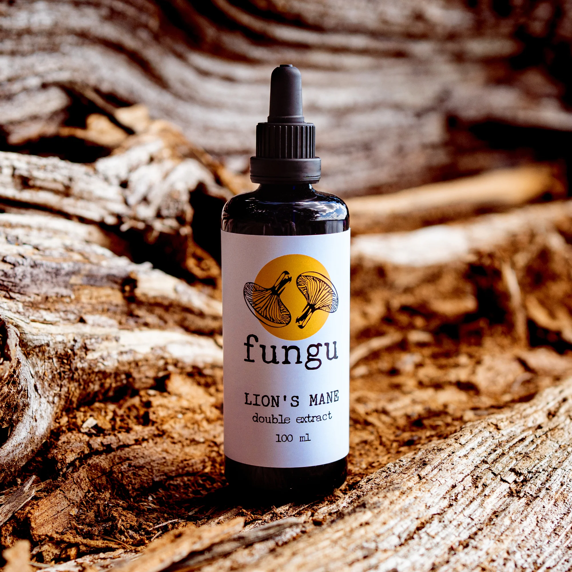 lion‘s mane extract lion‘s mane extract