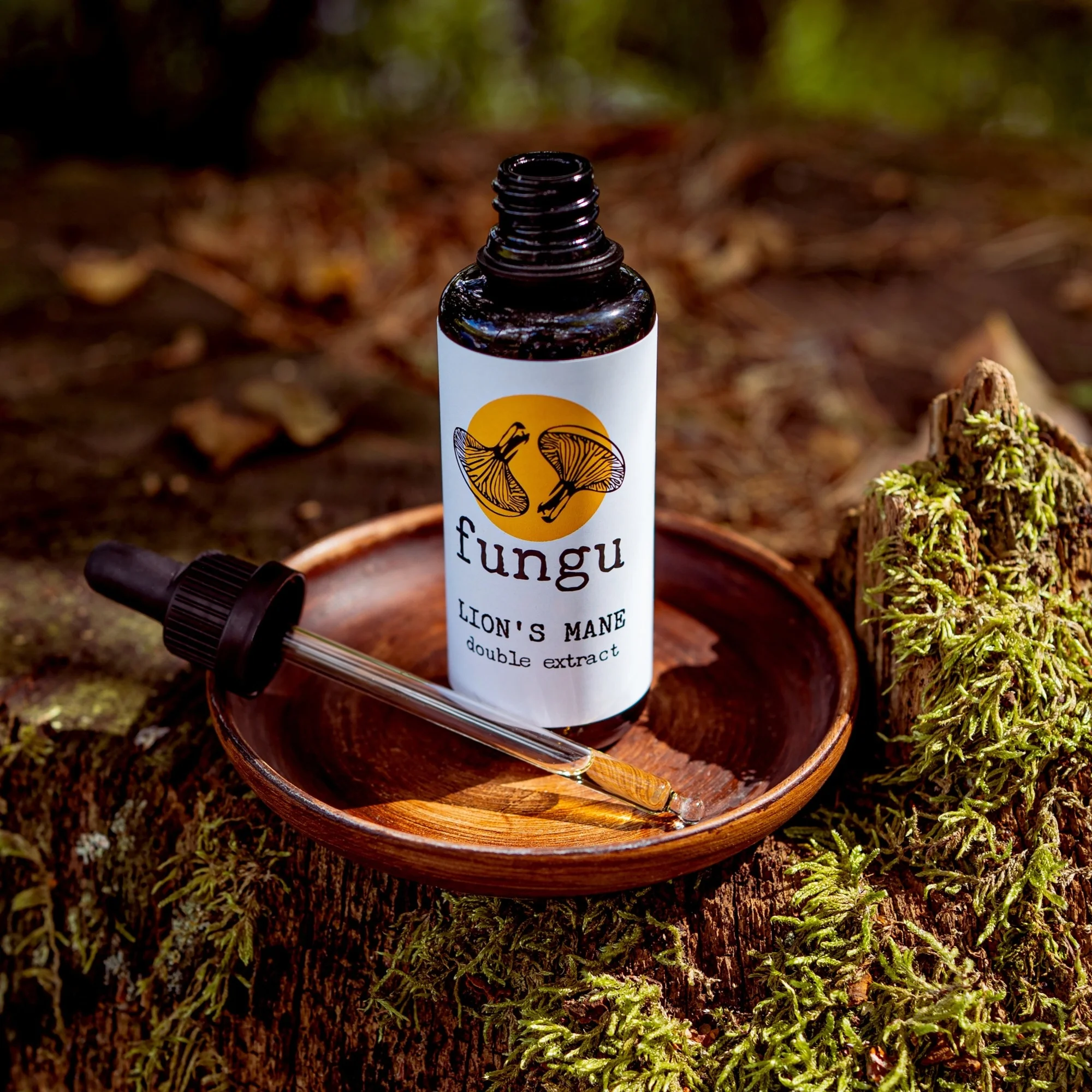 Fungu Forest Lion