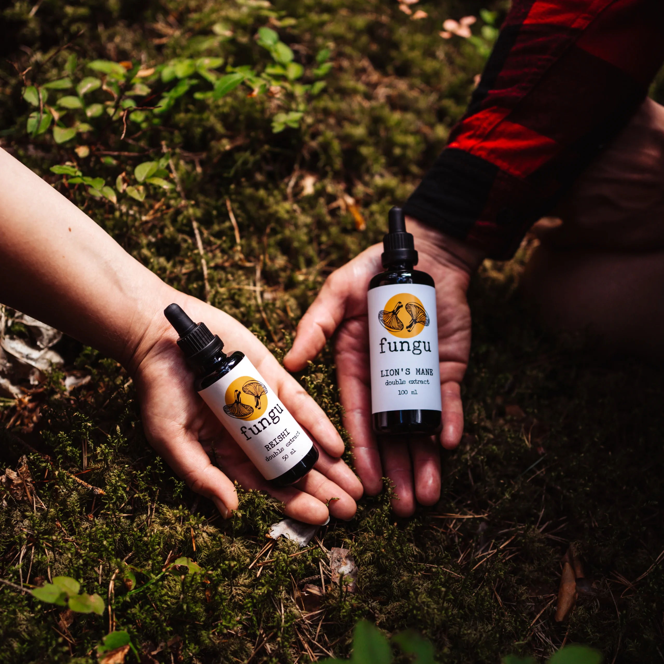 Fungu Forest mushroom extracts in hand