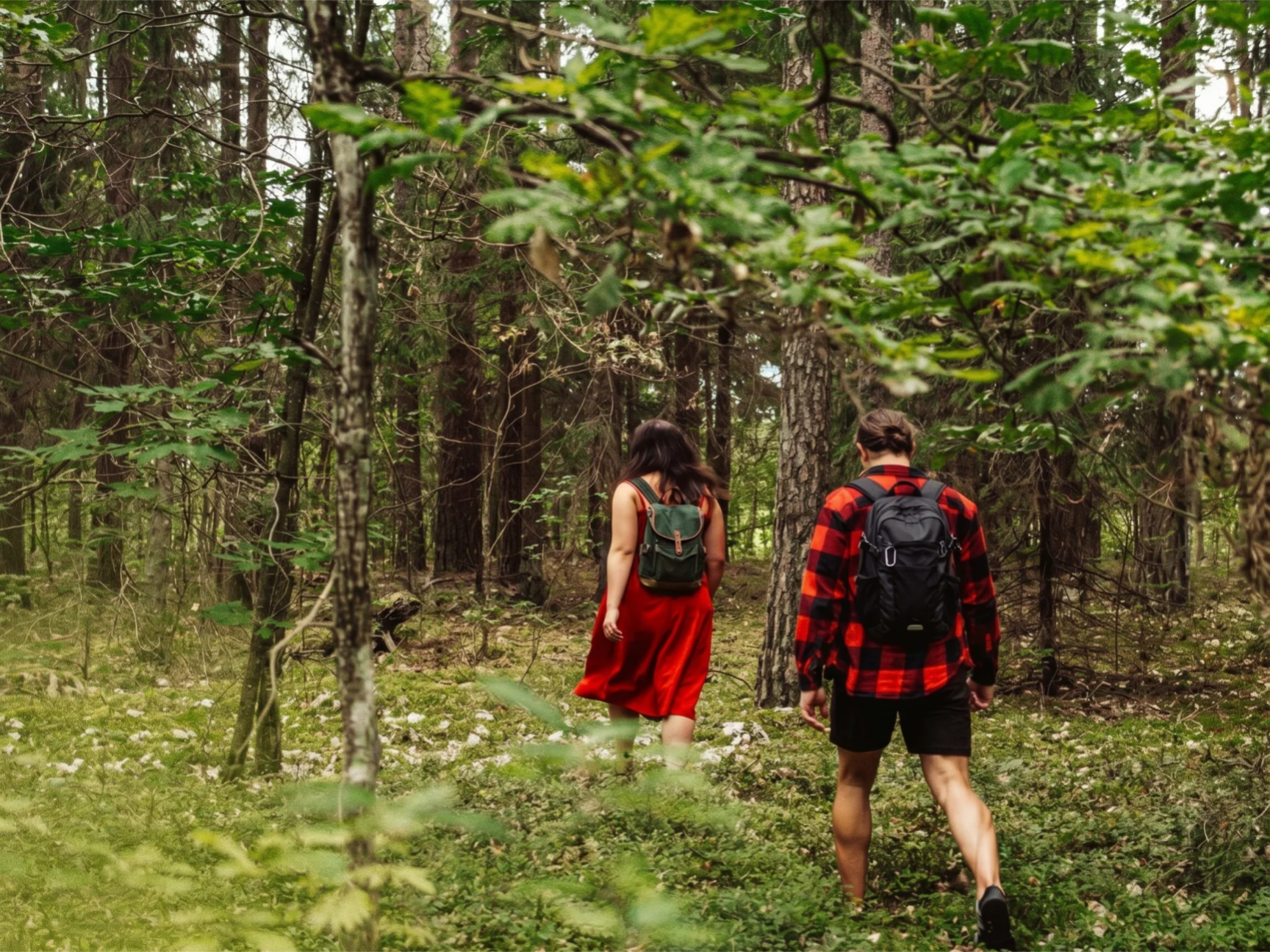 Baltic forest mushroom culture