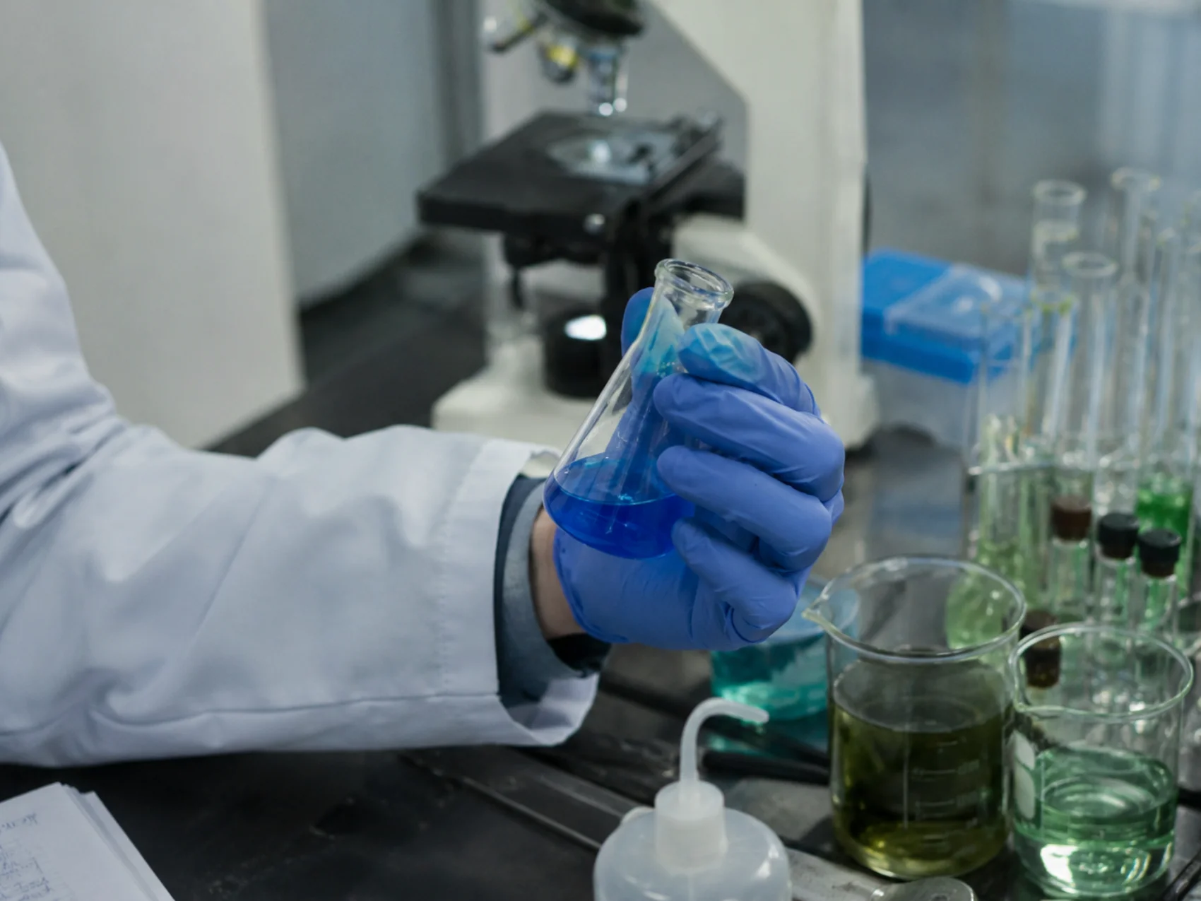Cordyceps lung and immune support research