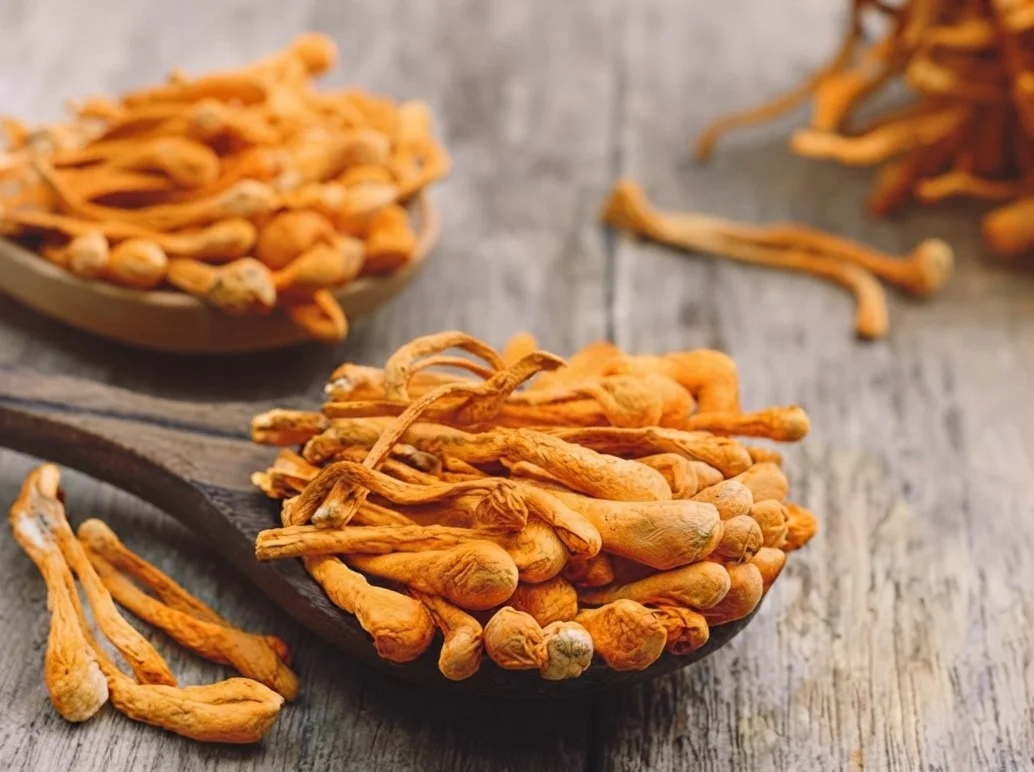 Organic Cordyceps CS-4