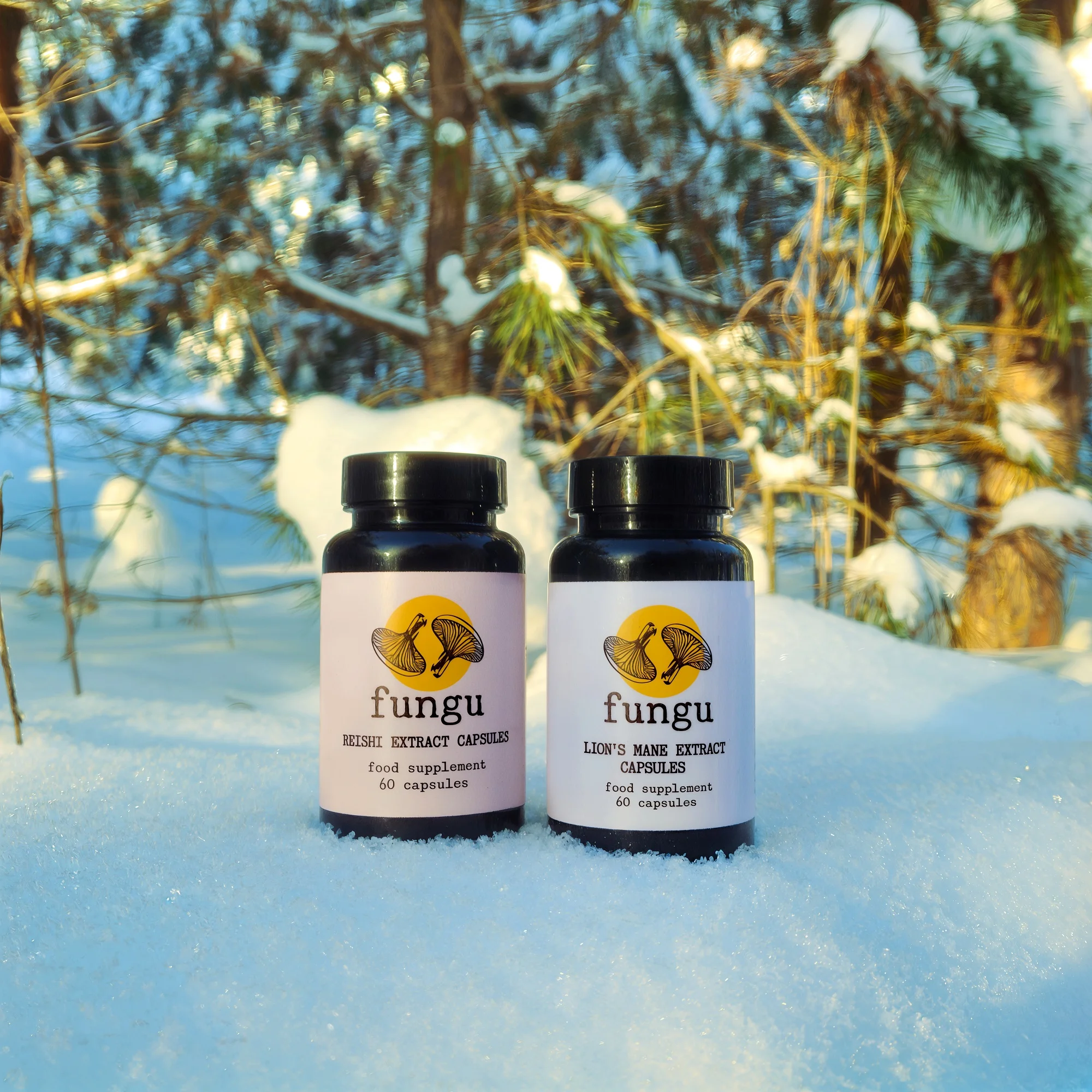 Fungu Forest mushroom supplements